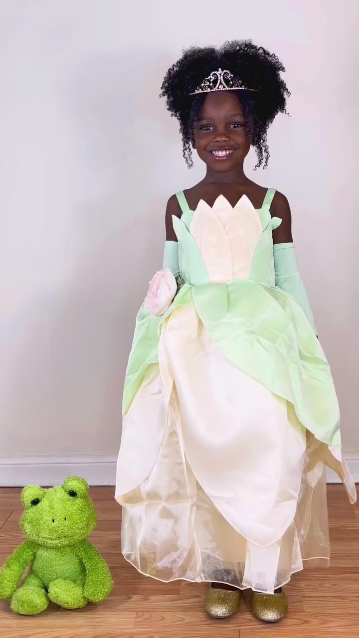 Princess Tiana Inspired Dress Costume with Arm Sleeves